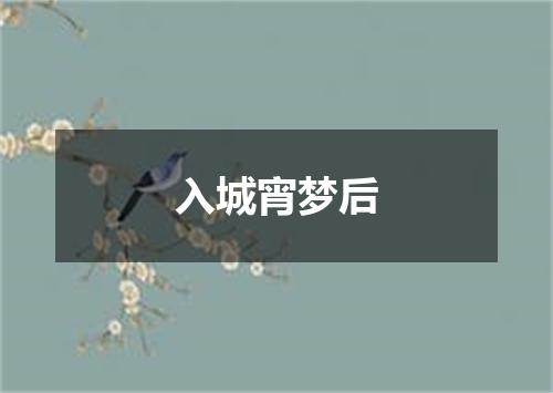 入城宵梦后