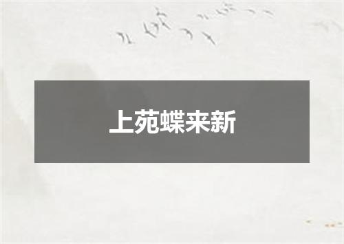 上苑蝶来新