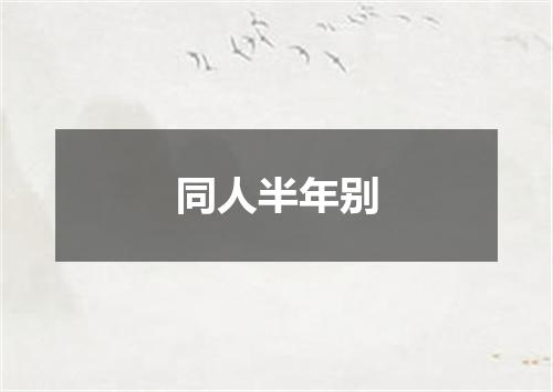 同人半年别