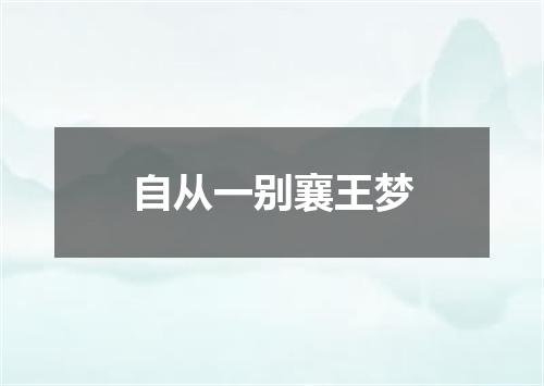 自从一别襄王梦