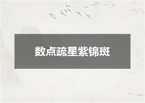 数点疏星紫锦斑
