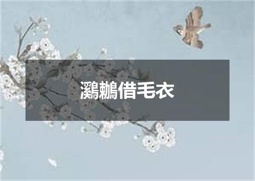 鸂鶒借毛衣