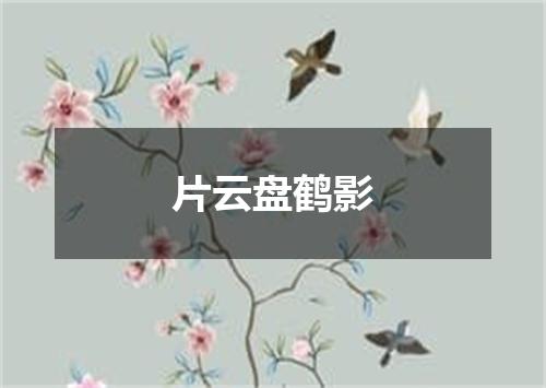 片云盘鹤影