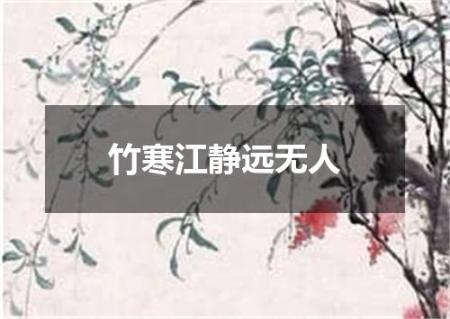 竹寒江静远无人