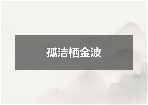 孤洁栖金波