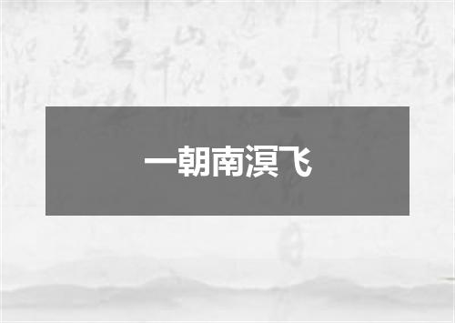 一朝南溟飞