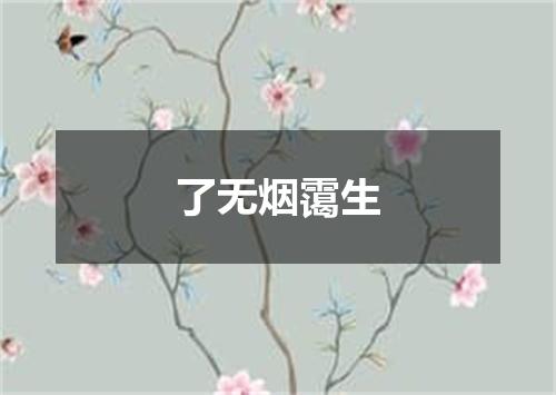 了无烟霭生
