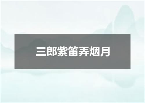 三郎紫笛弄烟月