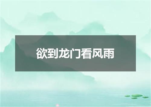 欲到龙门看风雨