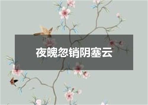 夜魄忽销阴塞云