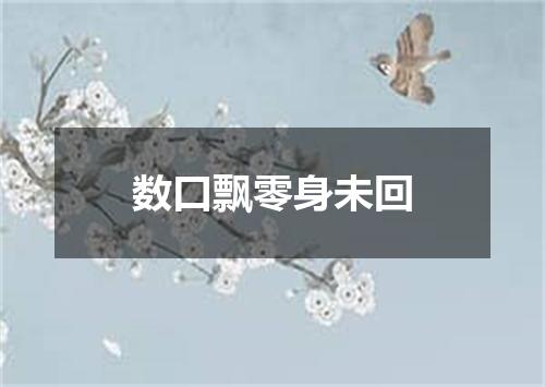数口飘零身未回