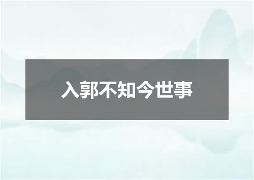 入郭不知今世事