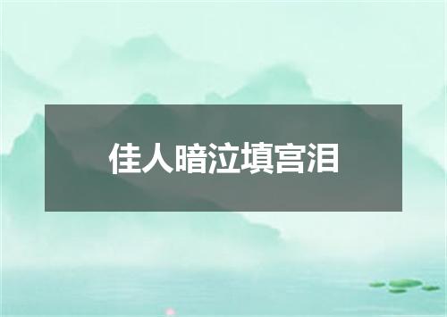 佳人暗泣填宫泪