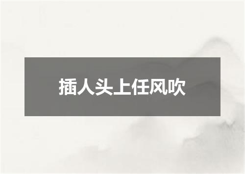 插人头上任风吹