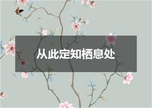 从此定知栖息处