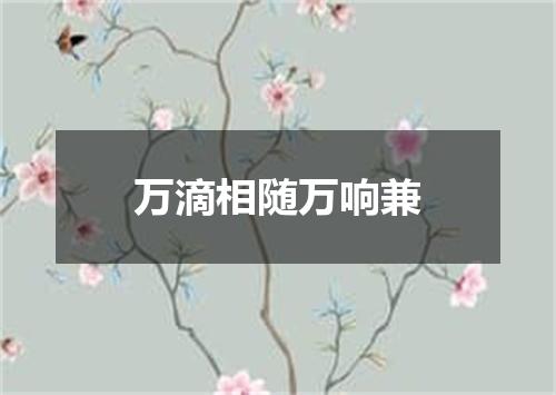 万滴相随万响兼