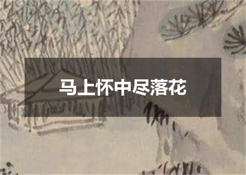 马上怀中尽落花