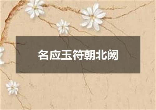 名应玉符朝北阙