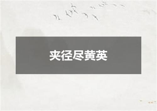 夹径尽黄英