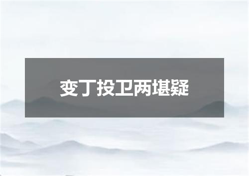 变丁投卫两堪疑