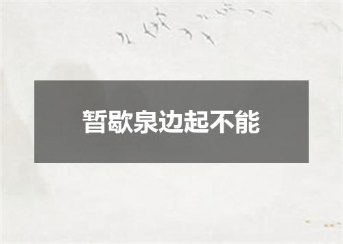 暂歇泉边起不能