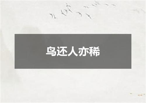 鸟还人亦稀