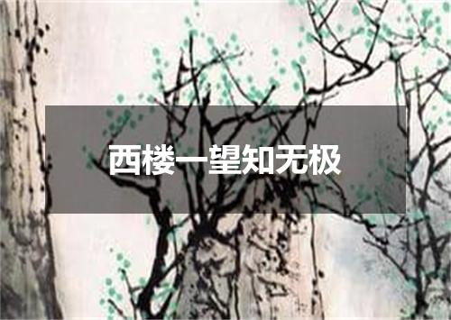 西楼一望知无极