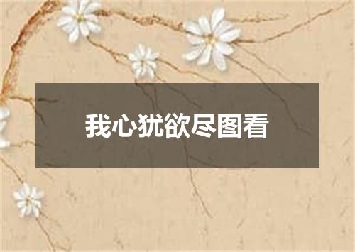 我心犹欲尽图看