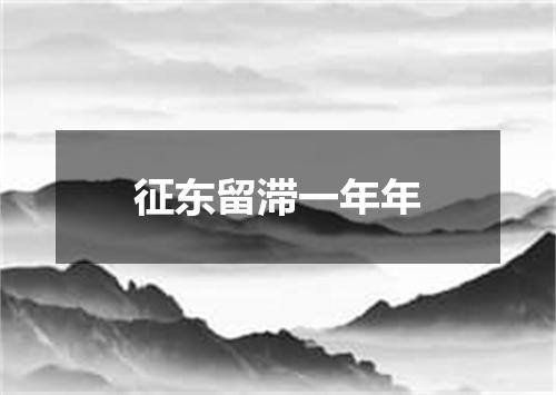 征东留滞一年年