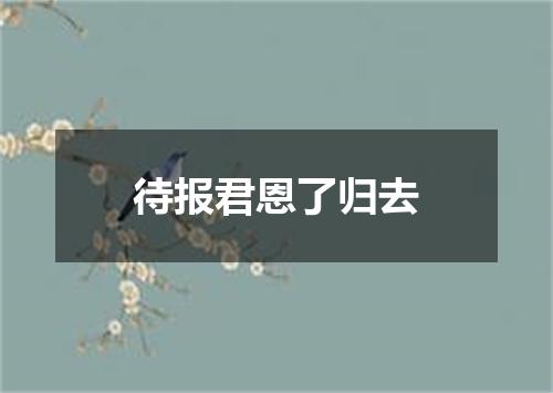 待报君恩了归去