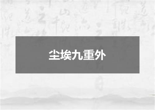 尘埃九重外