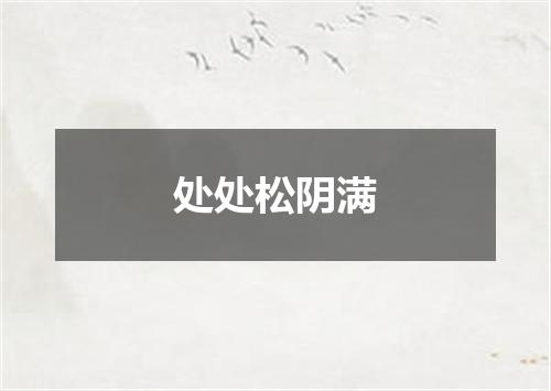 处处松阴满