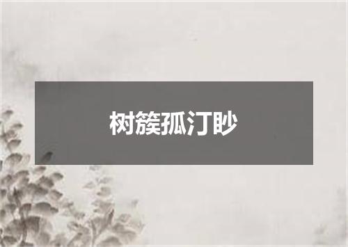 树簇孤汀眇