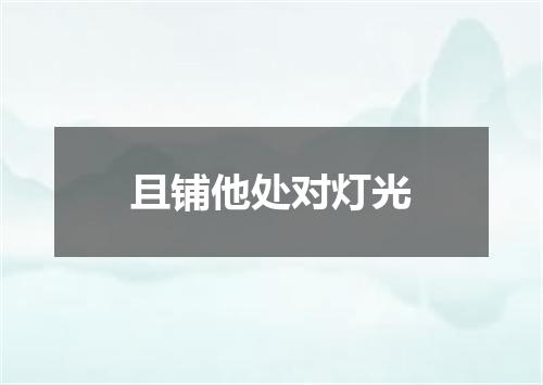 且铺他处对灯光