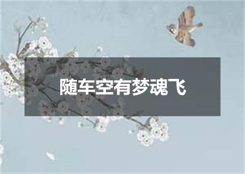 随车空有梦魂飞