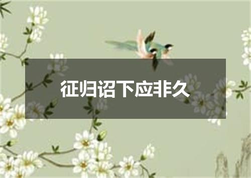 征归诏下应非久