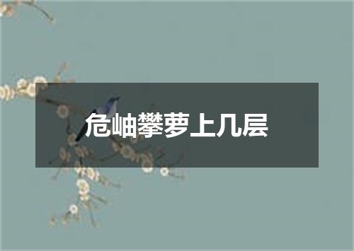 危岫攀萝上几层