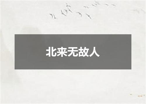 北来无故人