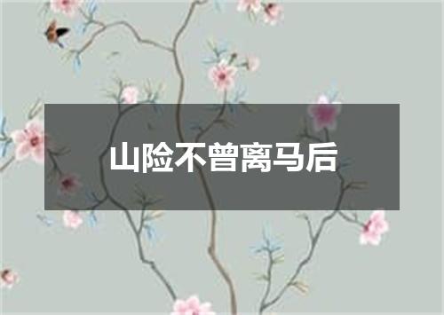 山险不曾离马后