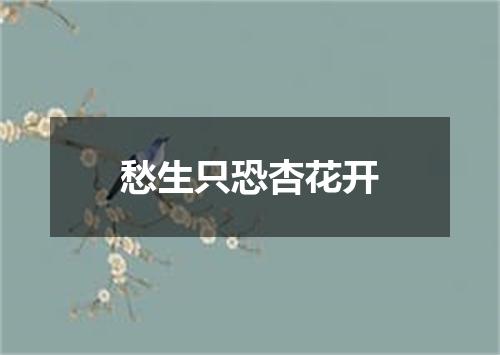 愁生只恐杏花开