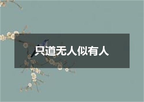 只道无人似有人