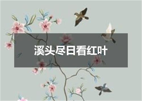 溪头尽日看红叶