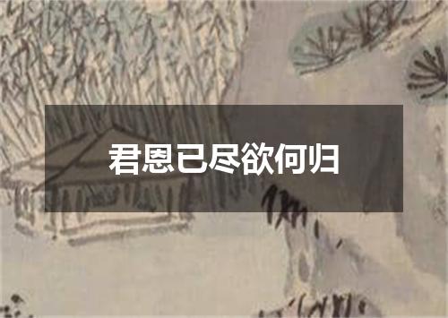 君恩已尽欲何归