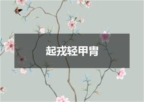 起戎轻甲胄