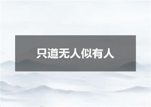 只道无人似有人