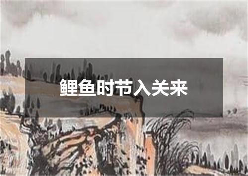 鲤鱼时节入关来