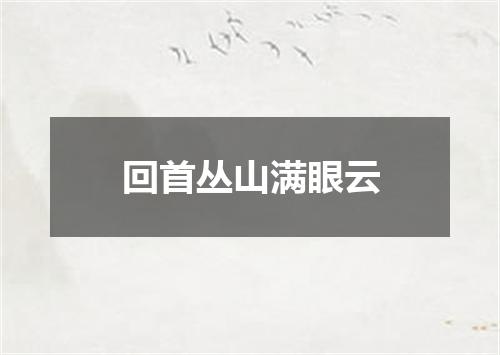 回首丛山满眼云