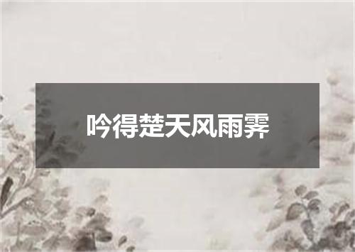 吟得楚天风雨霁