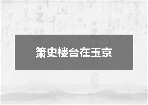 箫史楼台在玉京