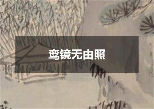 鸾镜无由照